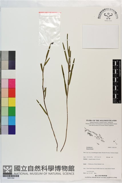 登錄號:S201354藏品圖，第1張