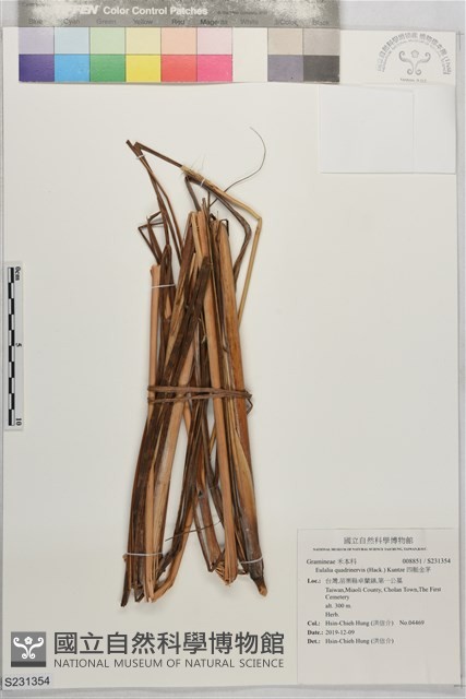 四脈金茅藏品圖，第1張