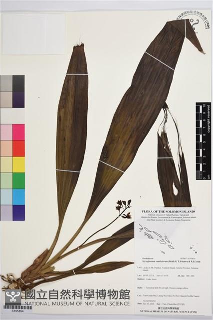 登錄號:S195854藏品圖，第1張