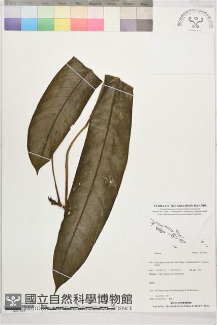 登錄號:S207854藏品圖，第1張