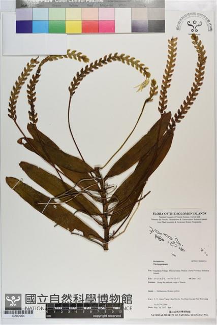 登錄號:S200954藏品圖，第1張