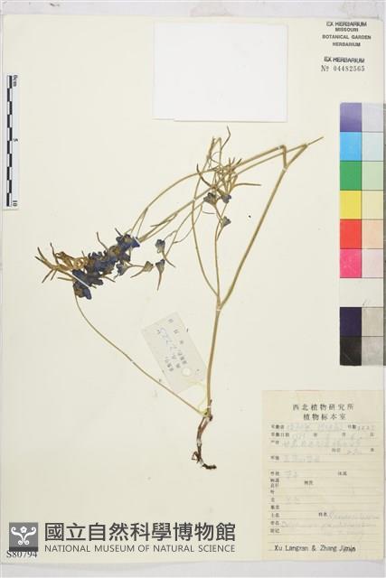 登錄號:S080794藏品圖，第1張