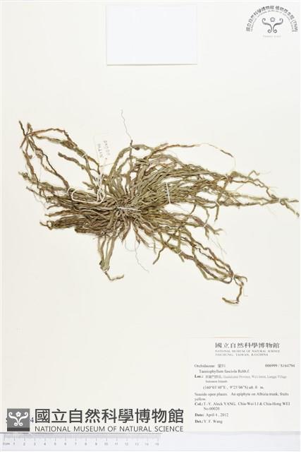 登錄號:S164794藏品圖，第1張