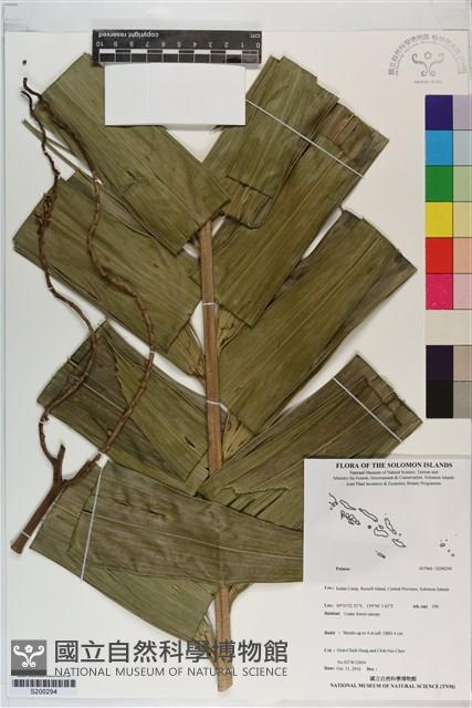 登錄號:S200294藏品圖，第1張