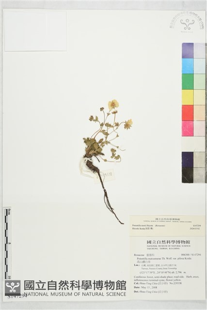 登錄號:S147294藏品圖，第1張