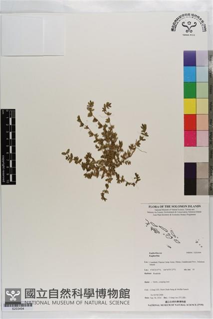 登錄號:S203494藏品圖，第1張