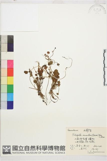 登錄號:S060194藏品圖，第1張