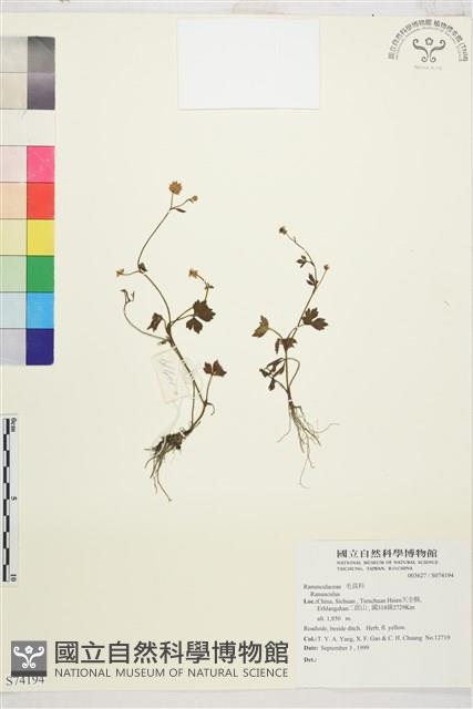 登錄號:S074194藏品圖，第1張