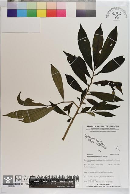 登錄號:S203194藏品圖，第1張