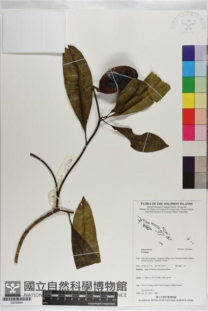 登錄號:S200894藏品圖，第1張