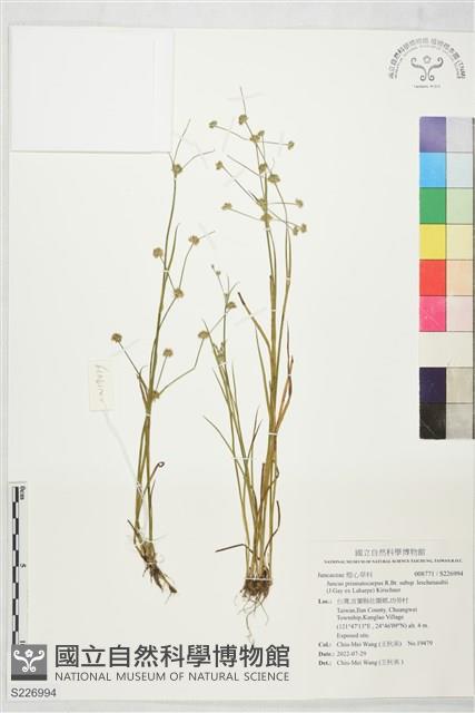 登錄號:S226994藏品圖，第1張