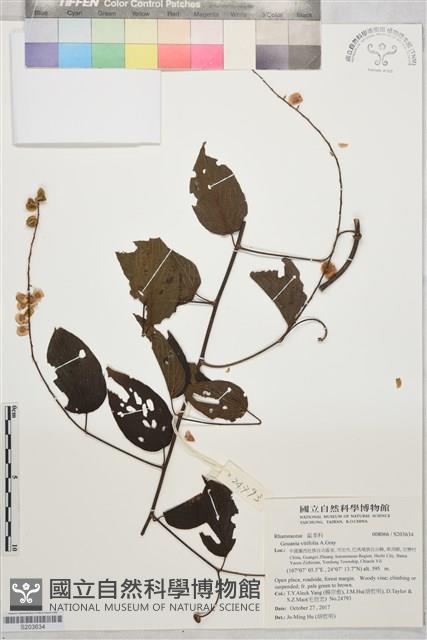 登錄號:S203634藏品圖，第1張