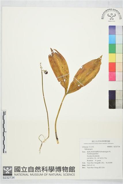 登錄號:S232734藏品圖，第1張
