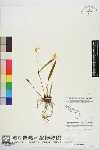 登錄號:S195734藏品圖，第1張