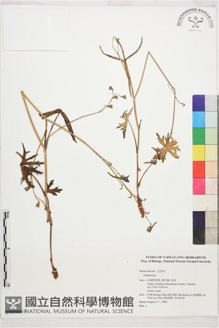 登錄號:S154734藏品圖，第1張