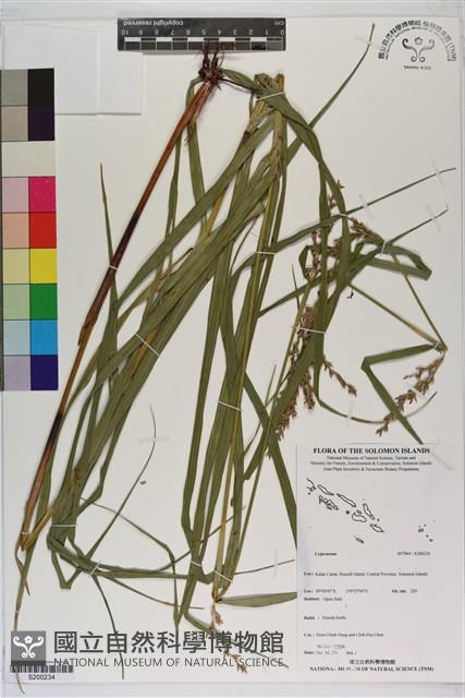 登錄號:S200234藏品圖，第1張