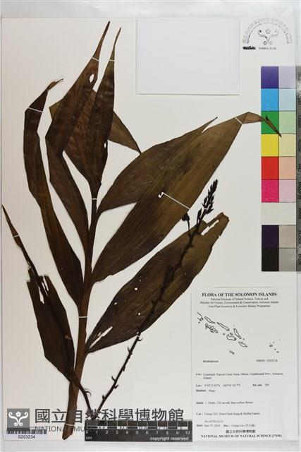 登錄號:S203234藏品圖，第1張