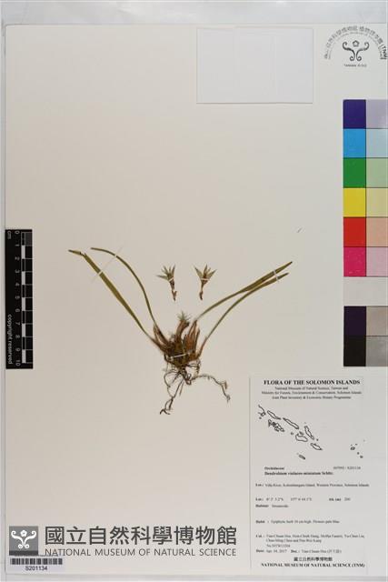 登錄號:S201134藏品圖，第1張