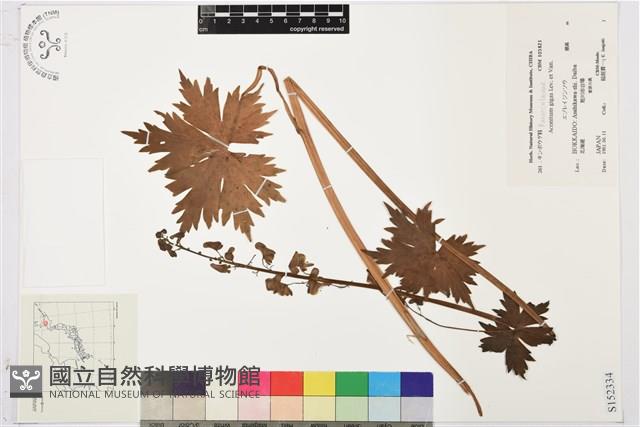 登錄號:S152334藏品圖，第1張