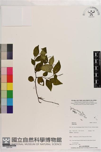 登錄號:S201334藏品圖，第1張