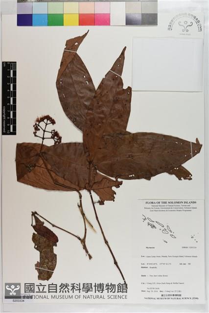 登錄號:S203334藏品圖，第1張