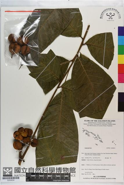 登錄號:S200834藏品圖，第1張