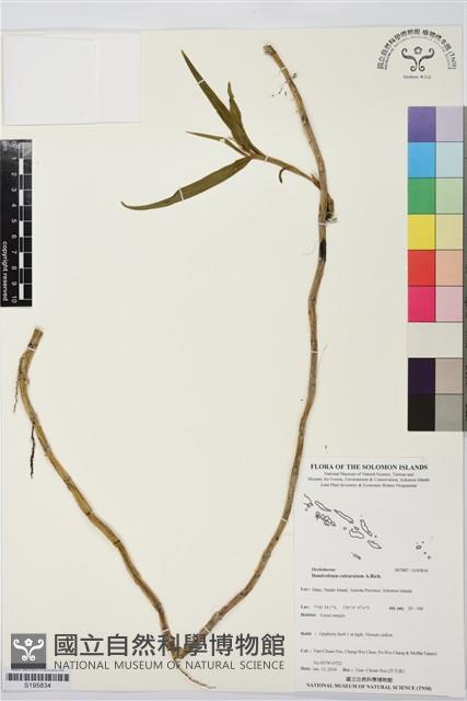 登錄號:S195834藏品圖，第1張