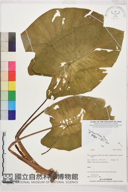登錄號:S207834藏品圖，第1張