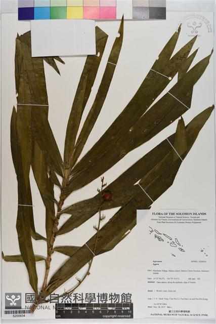 登錄號:S200934藏品圖，第1張