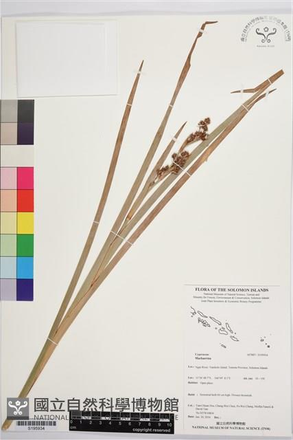 登錄號:S195934藏品圖，第1張