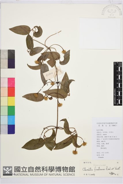 山木通藏品圖，第1張