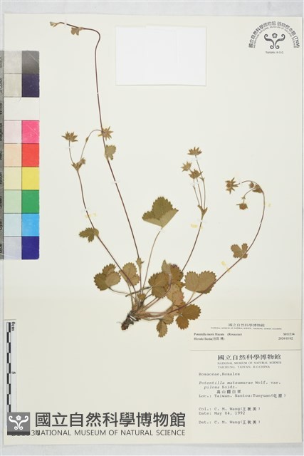 登錄號:S011534藏品圖，第2張