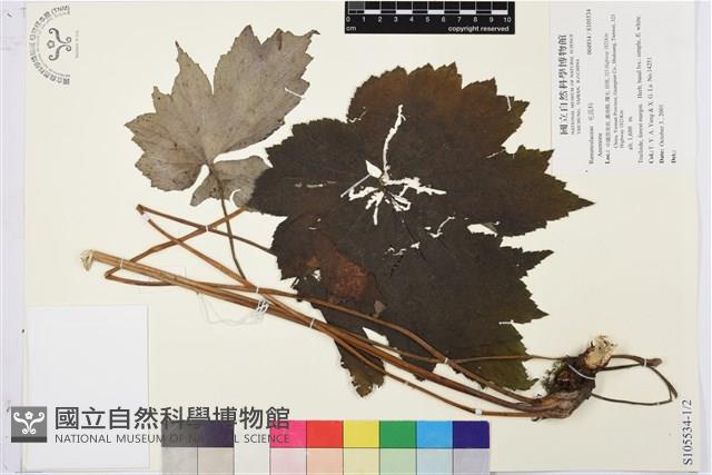 登錄號:S105534藏品圖，第1張