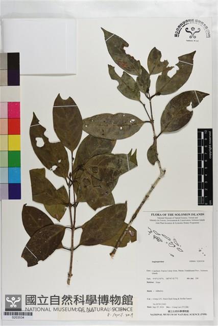 登錄號:S203534藏品圖，第1張