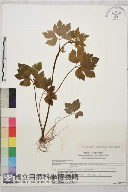 Accession Number:S150664 Collection Image