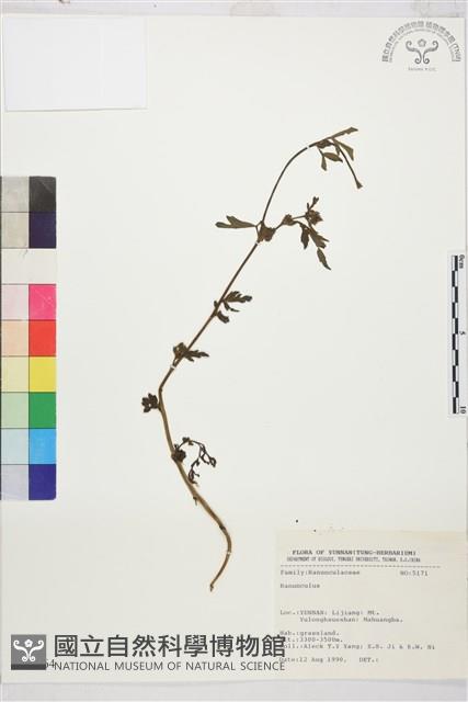 登錄號:S031664藏品圖，第1張