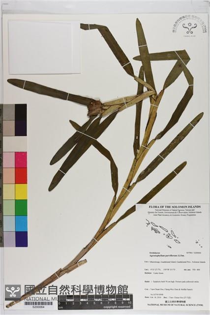 登錄號:S200064藏品圖，第1張