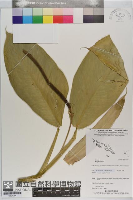 登錄號:S201064藏品圖，第1張