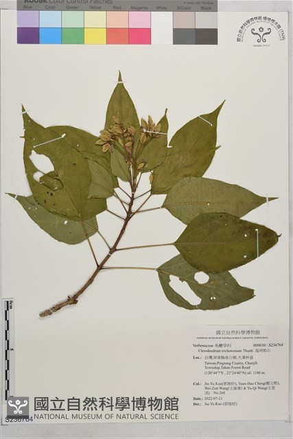 海州常山藏品圖，第1張