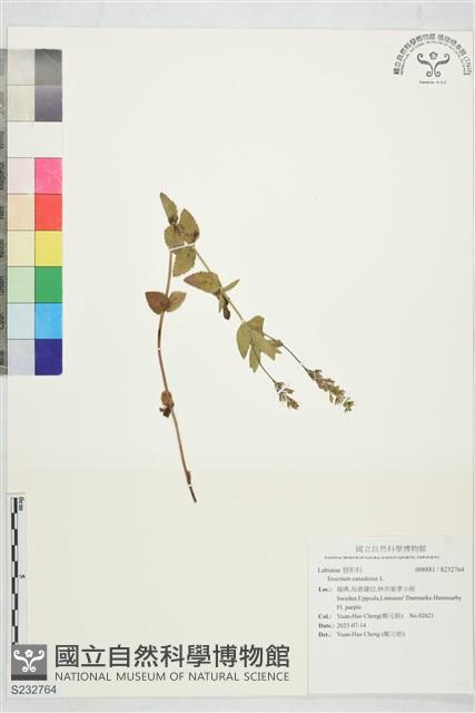 登錄號:S232764藏品圖，第1張