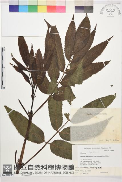 登錄號:S230764藏品圖，第1張