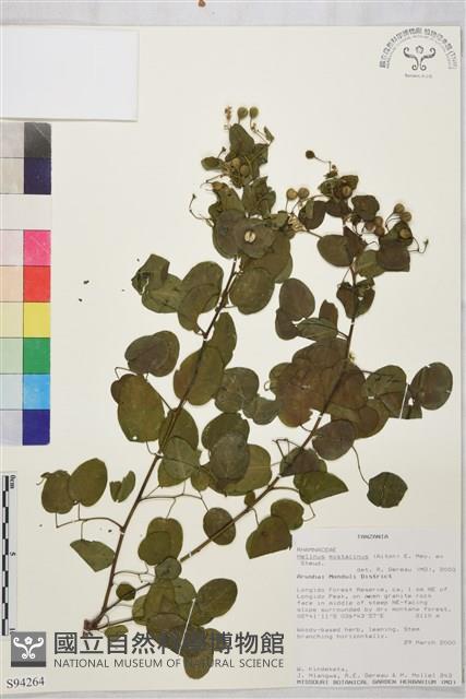 登錄號:S094264藏品圖，第1張