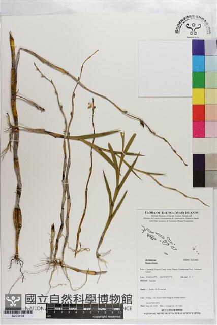 登錄號:S203464藏品圖，第1張