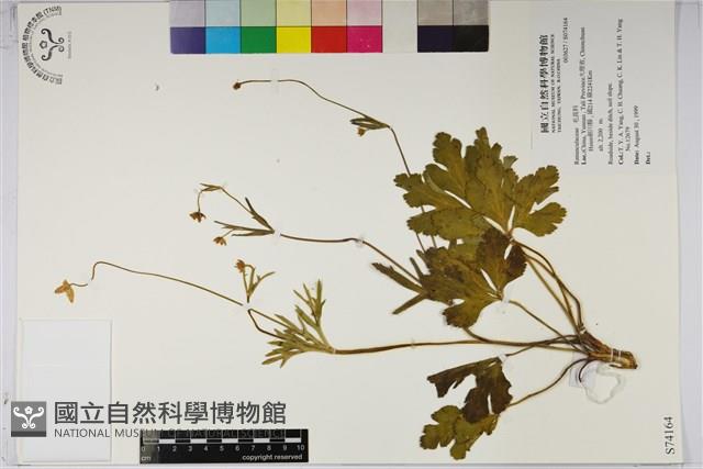 登錄號:S074164藏品圖，第1張