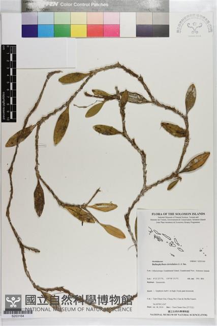 登錄號:S203164藏品圖，第1張