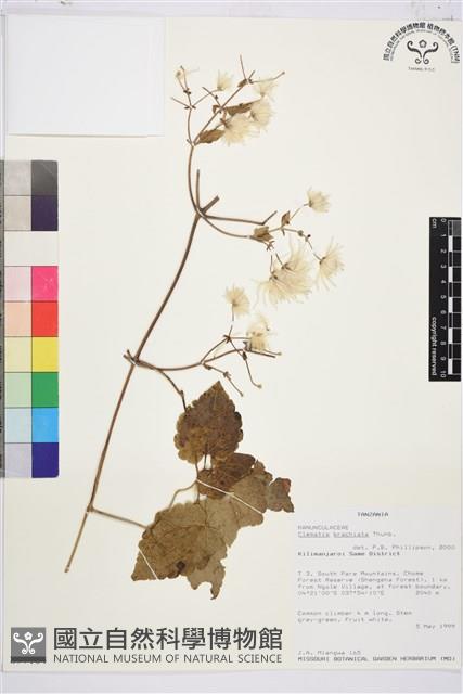 登錄號:S097164藏品圖，第1張