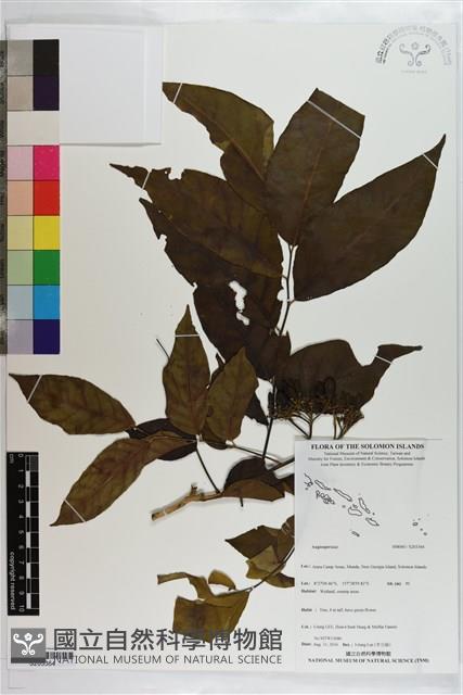 登錄號:S203364藏品圖，第1張
