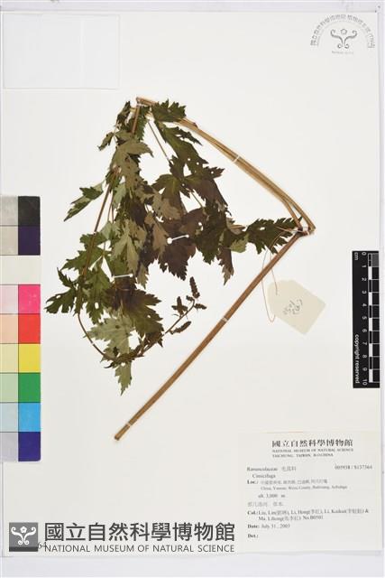 登錄號:S137364藏品圖，第1張