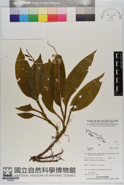 登錄號:S200864藏品圖，第1張