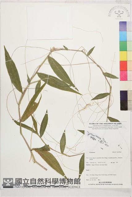 登錄號:S207864藏品圖，第1張